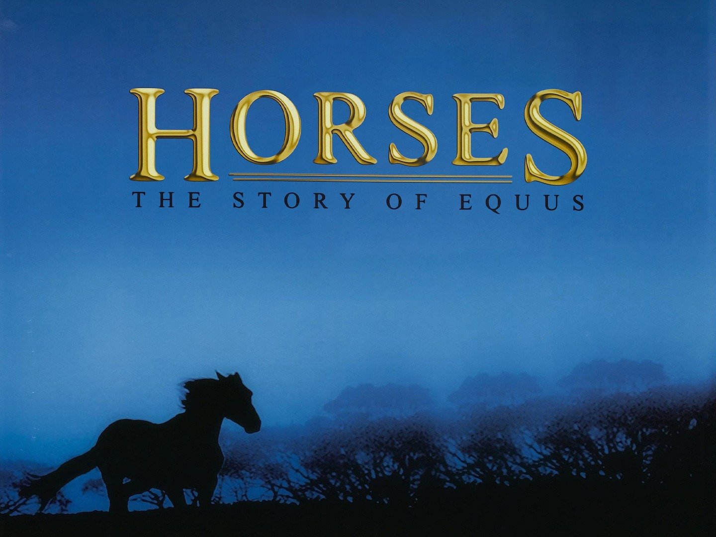 2001 Horses The Story of Equus (1)